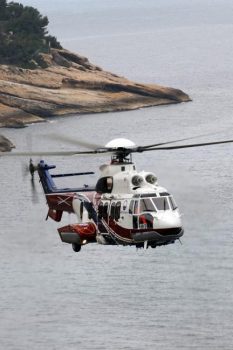 H225