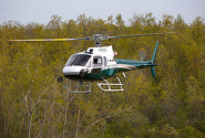 Forest Helicopters
