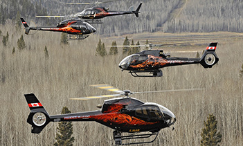 Phoenix Heli-Flight