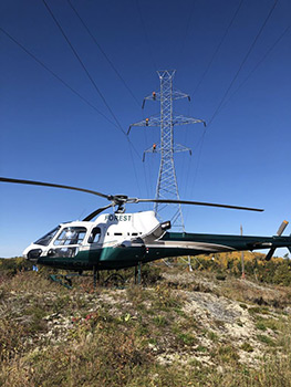 Forest Helicopters Customer Image